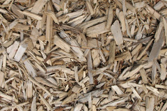 biomass boilers Burridge