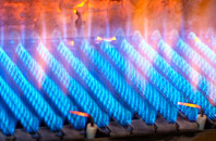 Burridge gas fired boilers